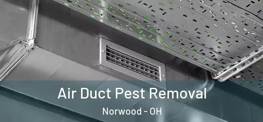  Air Duct Pest Removal Norwood - OH