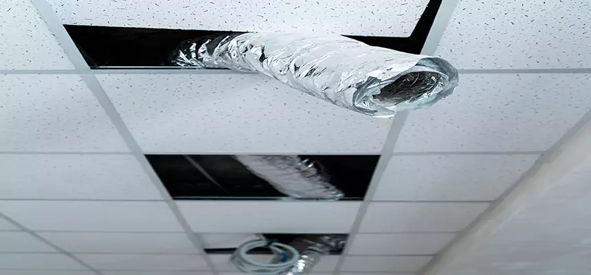 Our Air Duct Pet Hair Removal Services in Norwood, OH