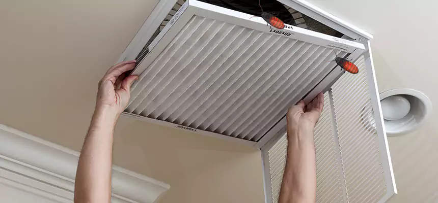 Our Insect Removal from Air Ducts Services in Norwood, OH