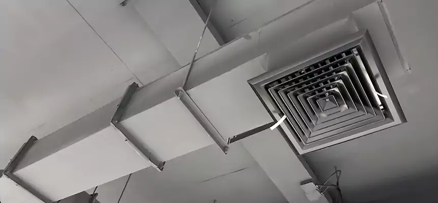 Our Rodent Droppings In Vents Services in Norwood, OH