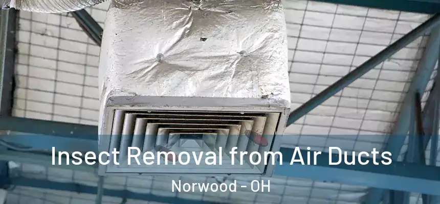  Insect Removal from Air Ducts Norwood - OH