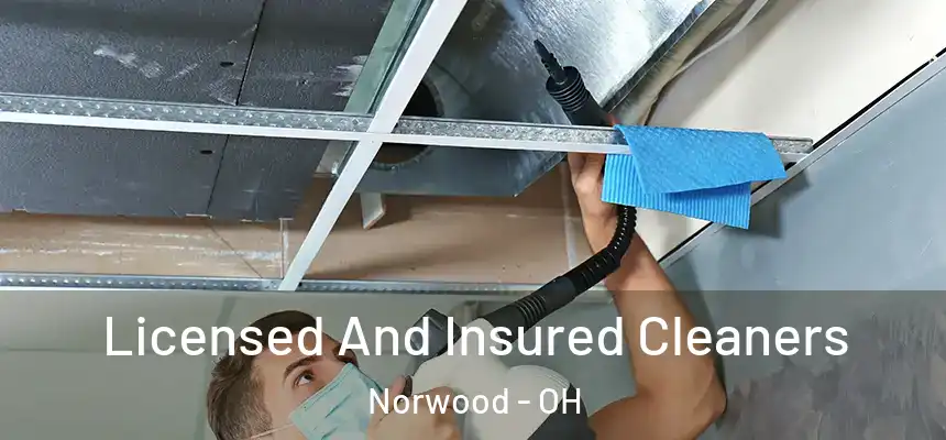  Licensed And Insured Cleaners Norwood - OH