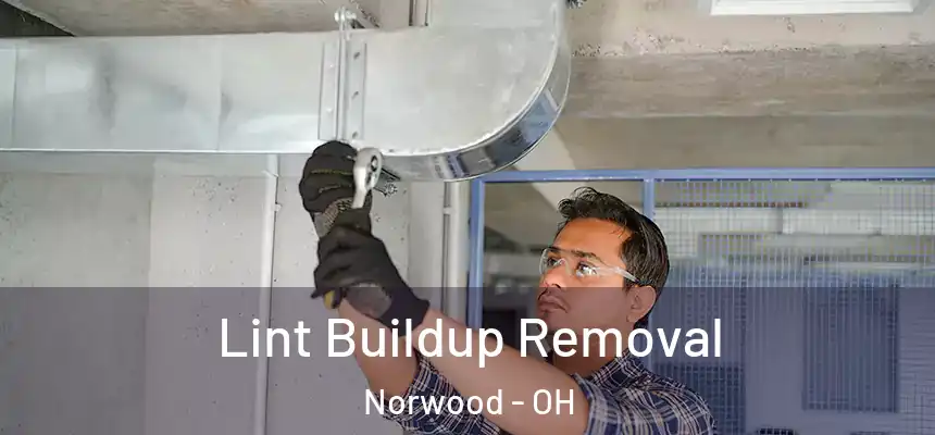  Lint Buildup Removal Norwood - OH