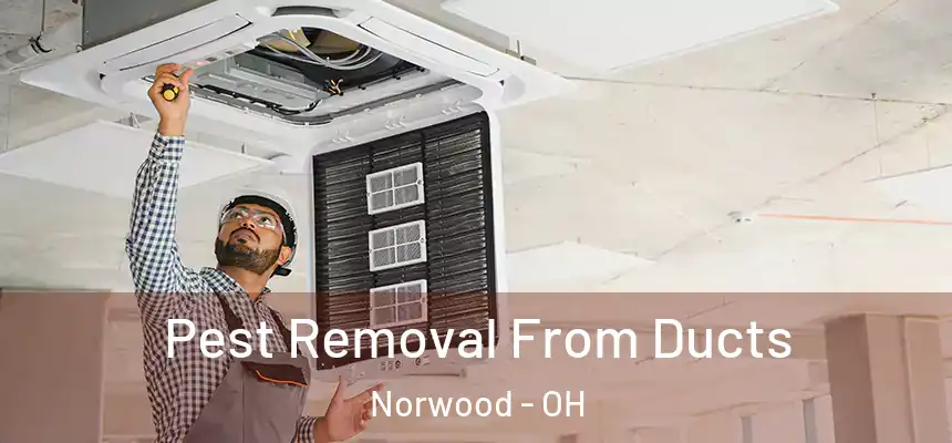  Pest Removal From Ducts Norwood - OH