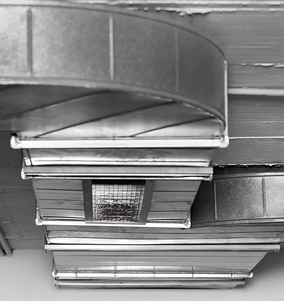 Professional Air Duct Pet Hair Removal in Norwood, OH