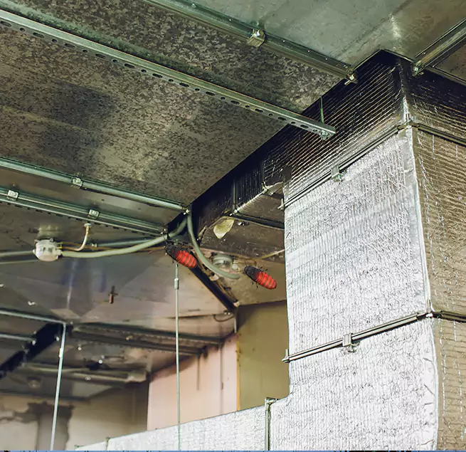 Why Homeowners & Businesses Trust Us Norwood, OH?